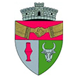 Stema Primăria Păltiniș, Caraș-Severin