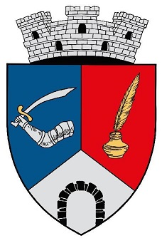 Stema Primăria Săliștea de Sus, Maramureș