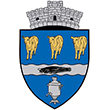 Stema Primăria Somova, Tulcea