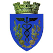 Stema Primăria Țăndărei, Ialomița